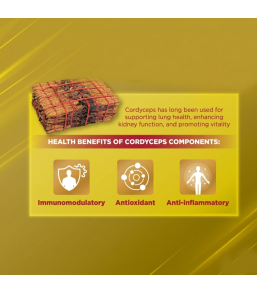 [Promotion 2026] BRAND’S Essence of Chicken Cordyceps 12s (70g)